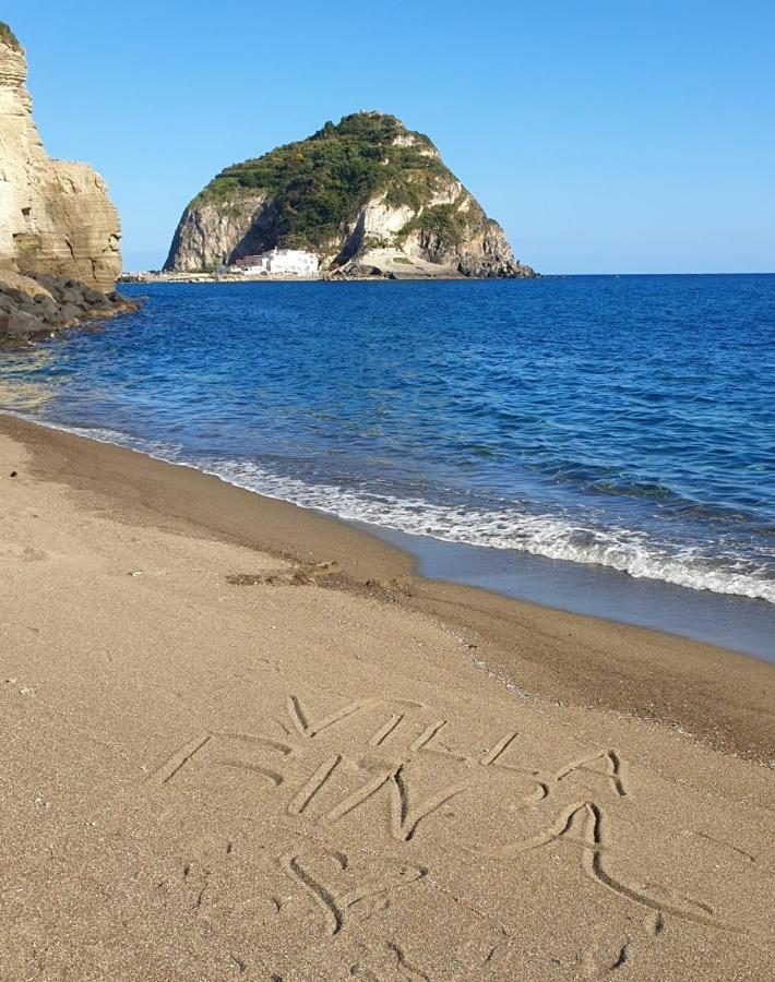 Villa Bina Sea Hotel Sant'Angelo  외부 사진