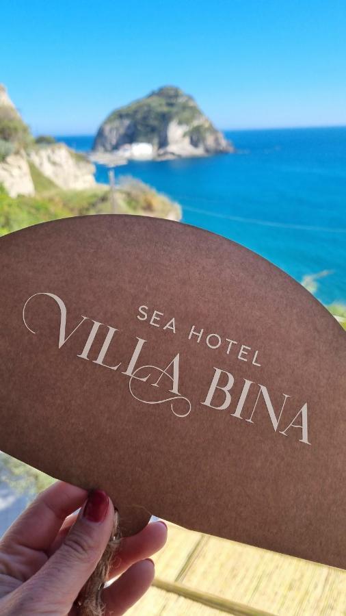 Villa Bina Sea Hotel Sant'Angelo  외부 사진